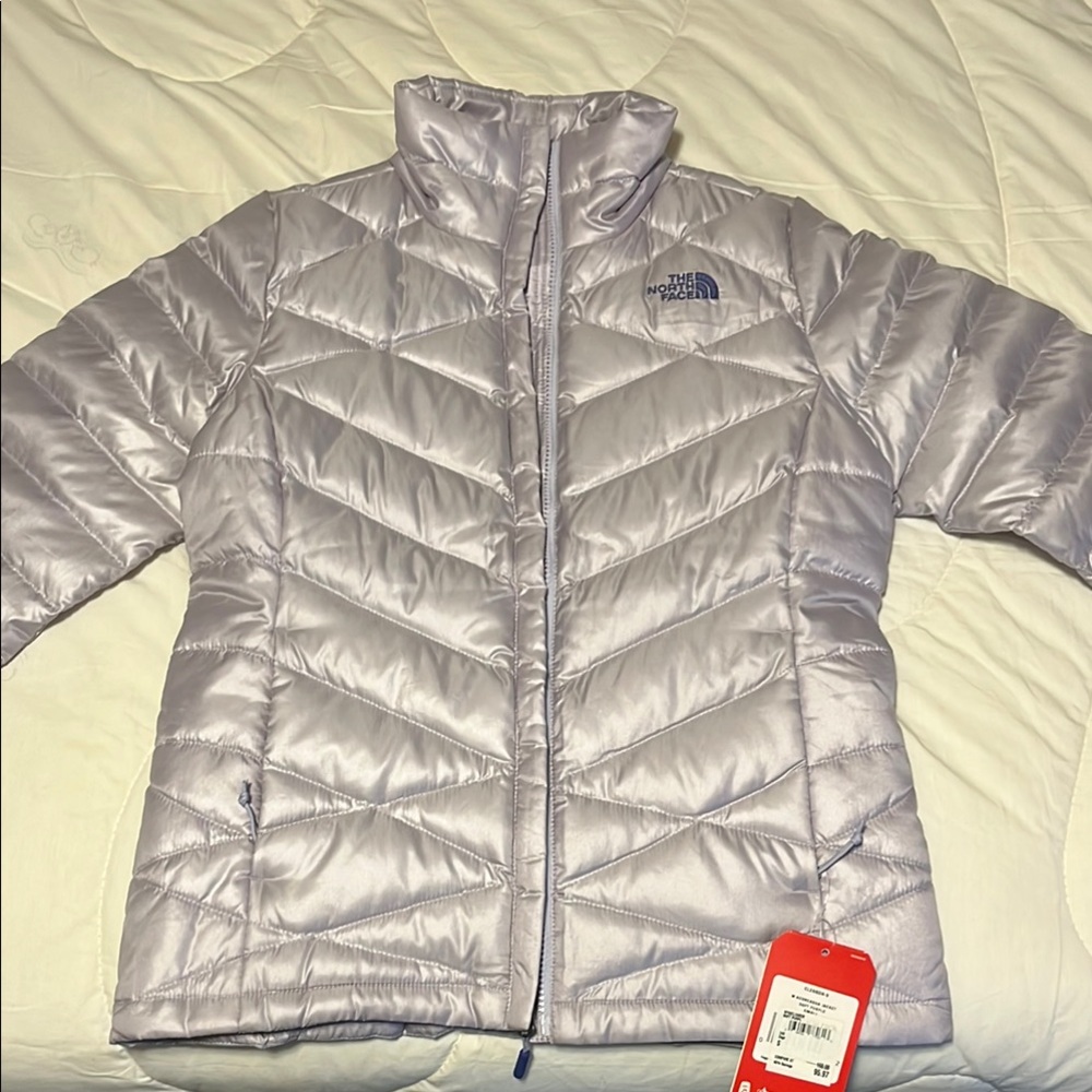 The North Face Silver Puffer Jacket